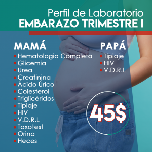 26-05-perfil-de-lab-embarazo-trimestre-i